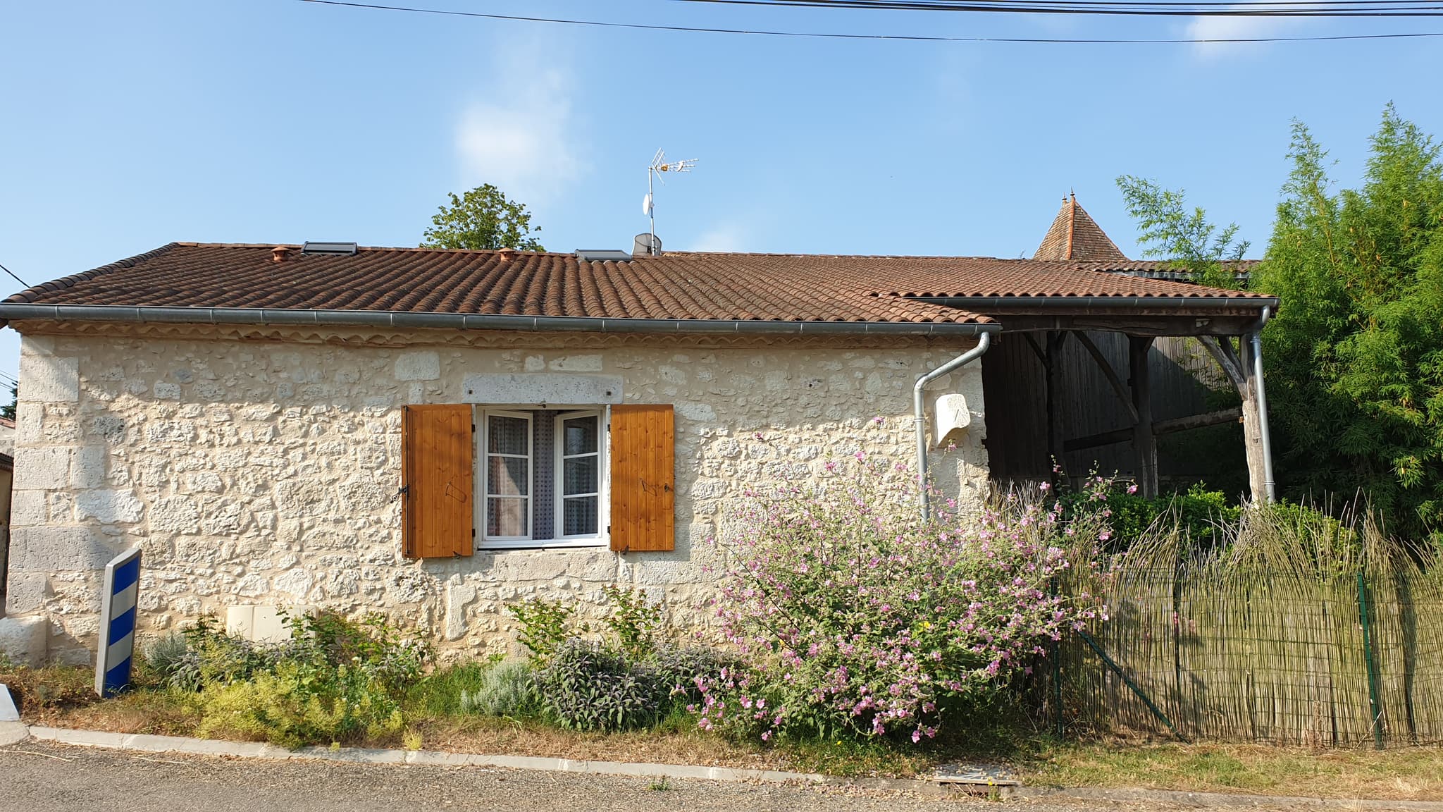 noisette (2)