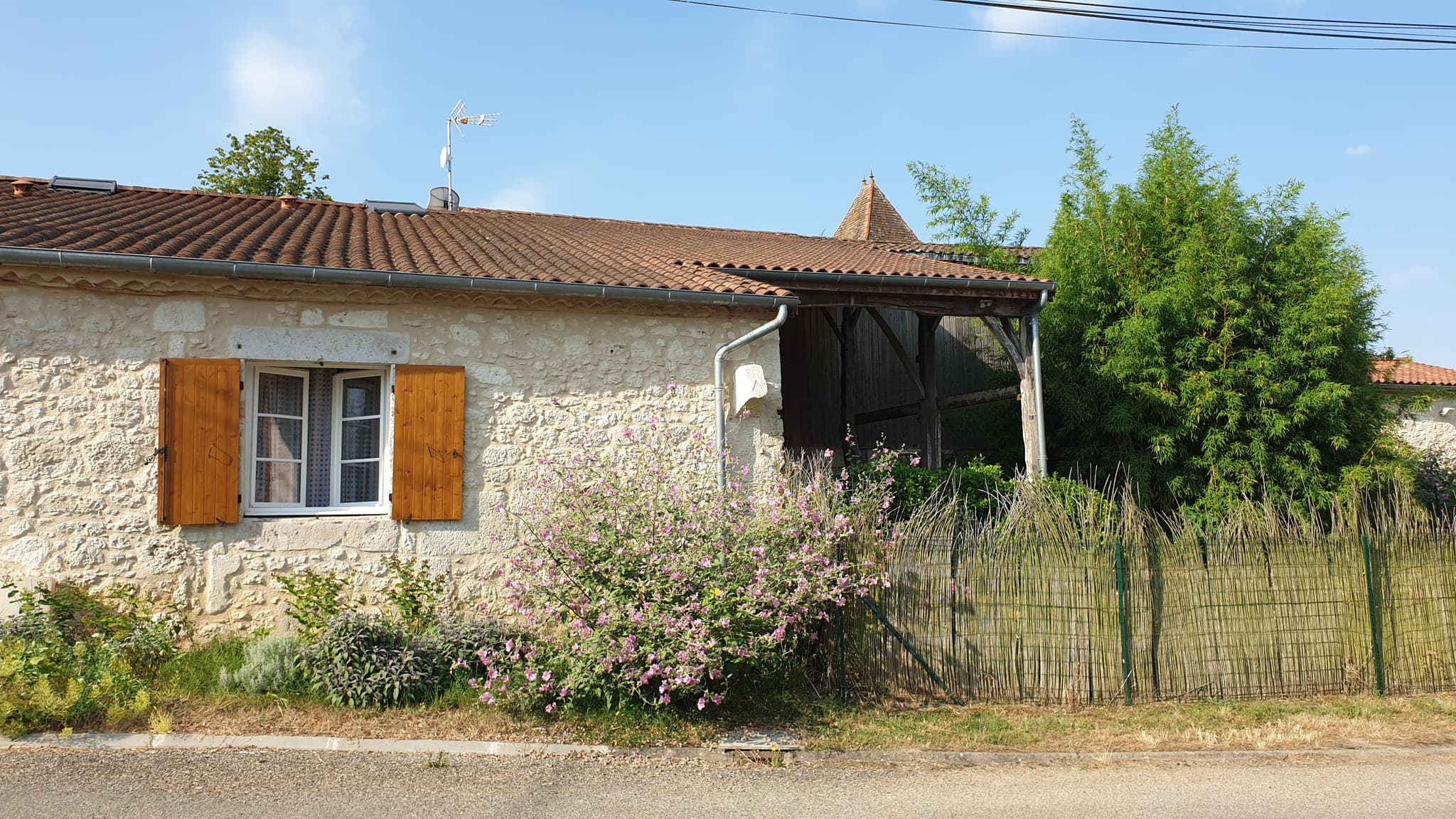 noisette (3)