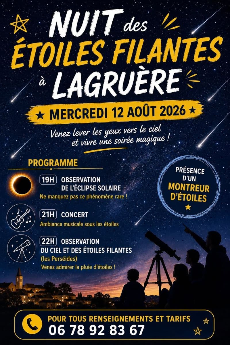 nuit des etoiles filantes a lagruere