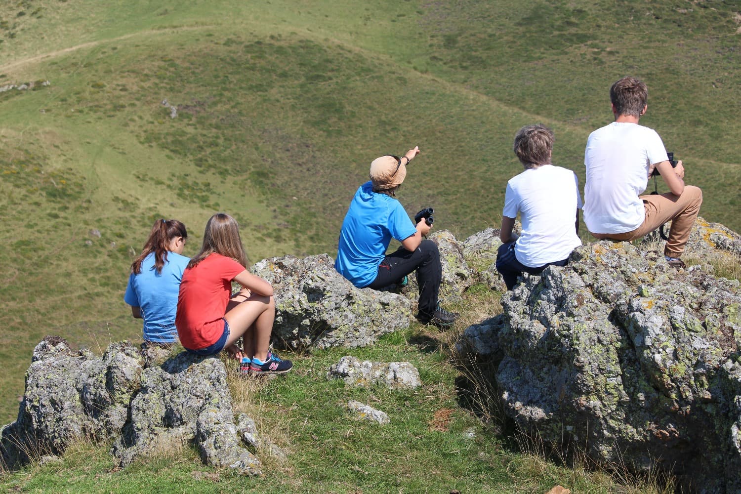 CPIE Pays Basque - observation-rapaces