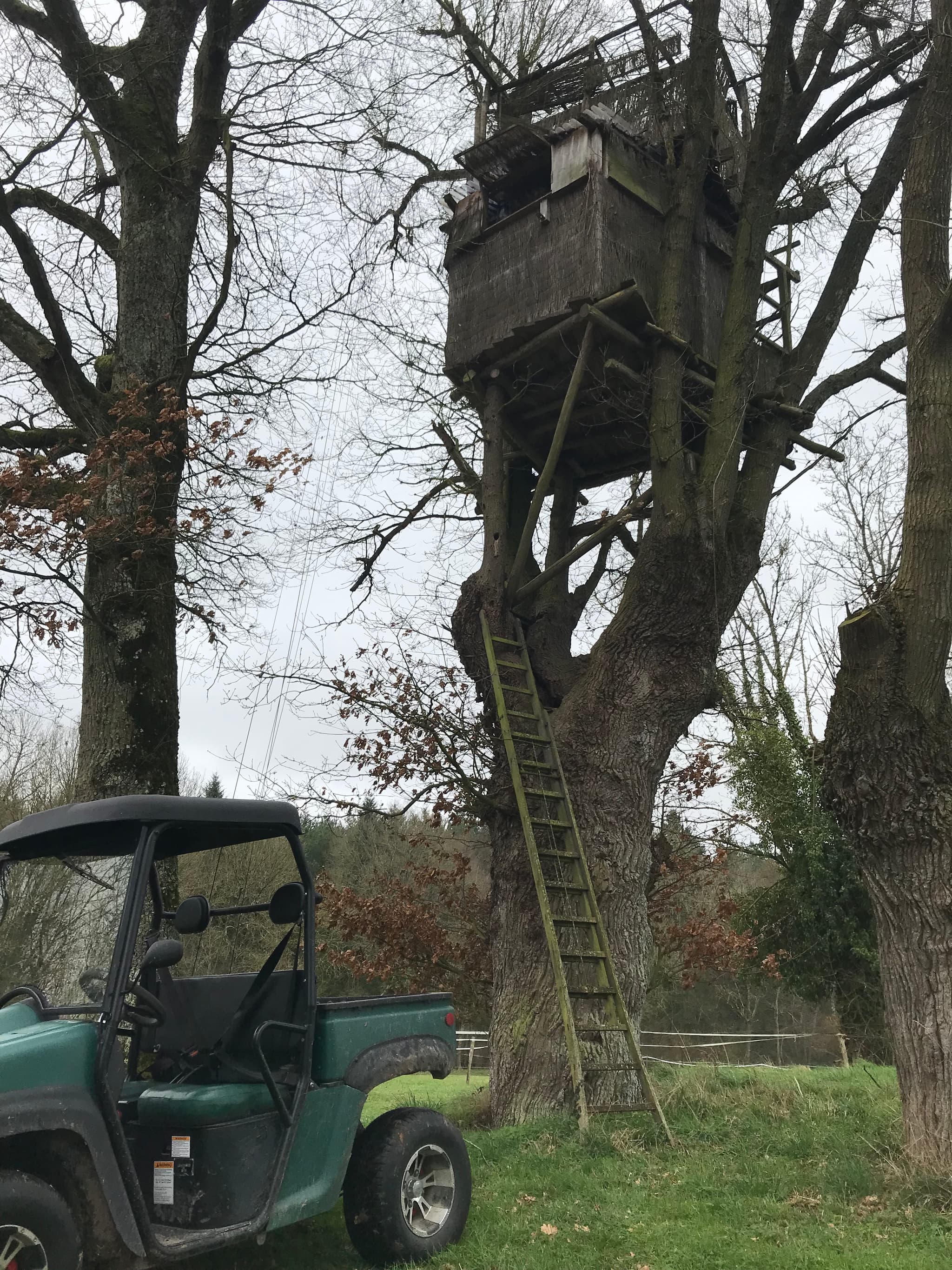 beaulieu-sous-bressuire-gite-albatros-Observatoire animalier en hiver