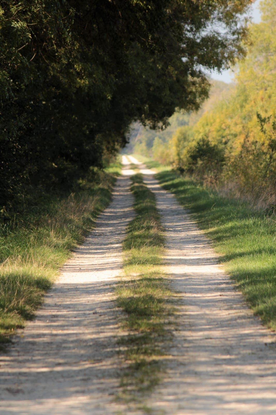 ocoeurdumedoc-14