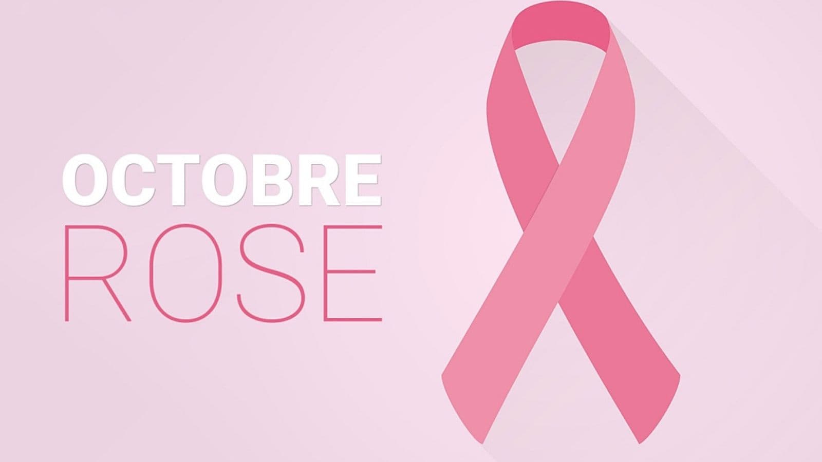 Agenda en ligne - SBT - 14