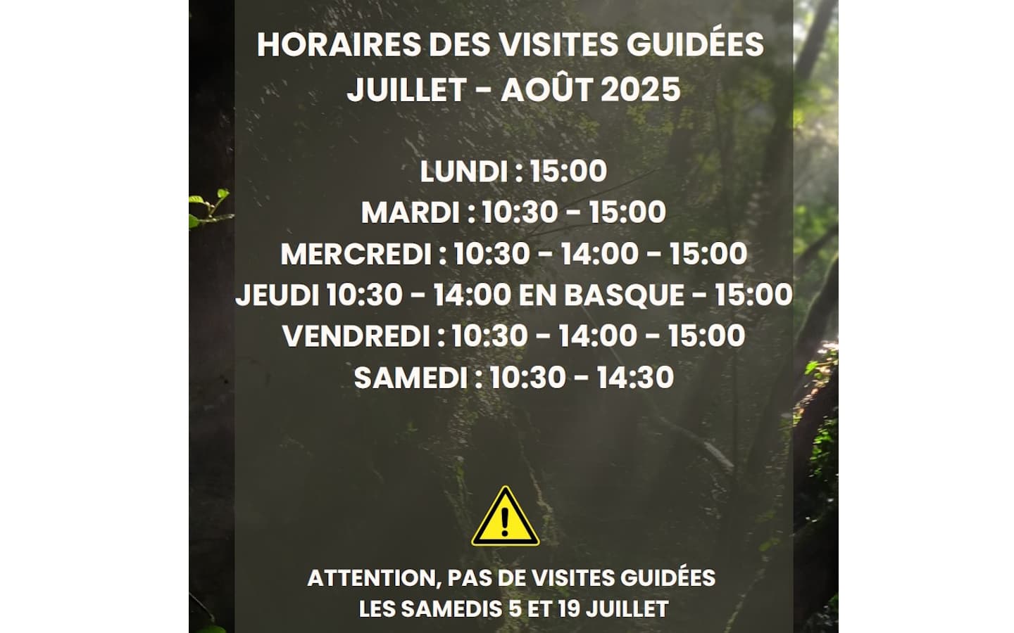 Hoaires Olhaberri 2025