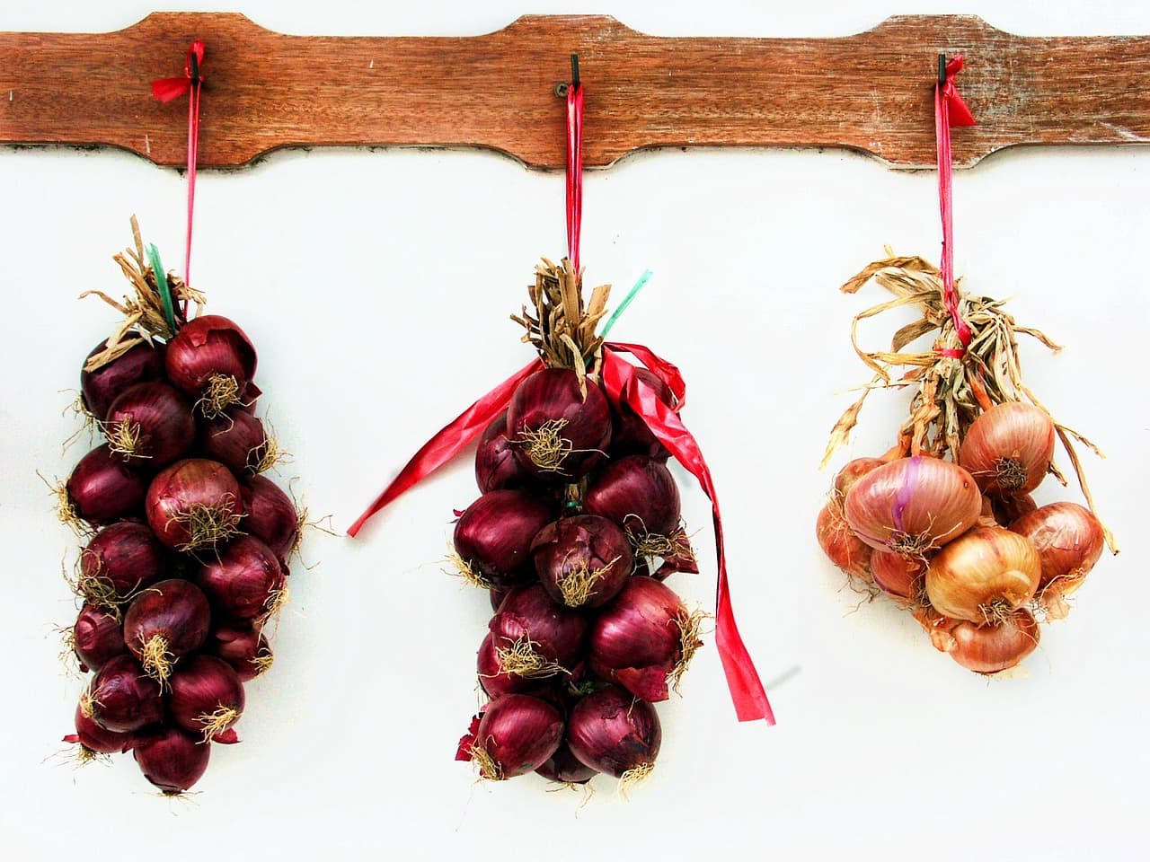 onions-748419_1280