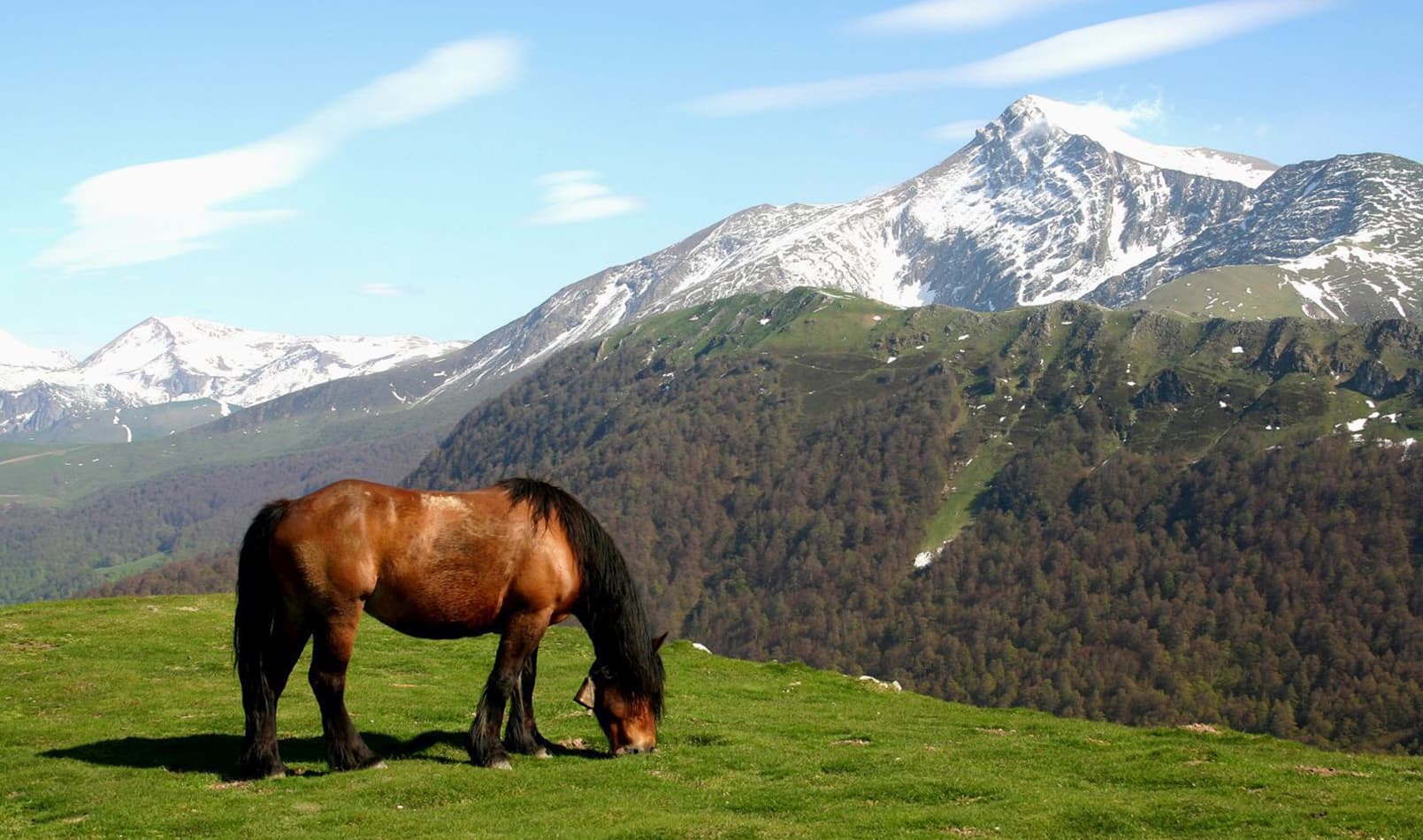 orhi-etchemaite