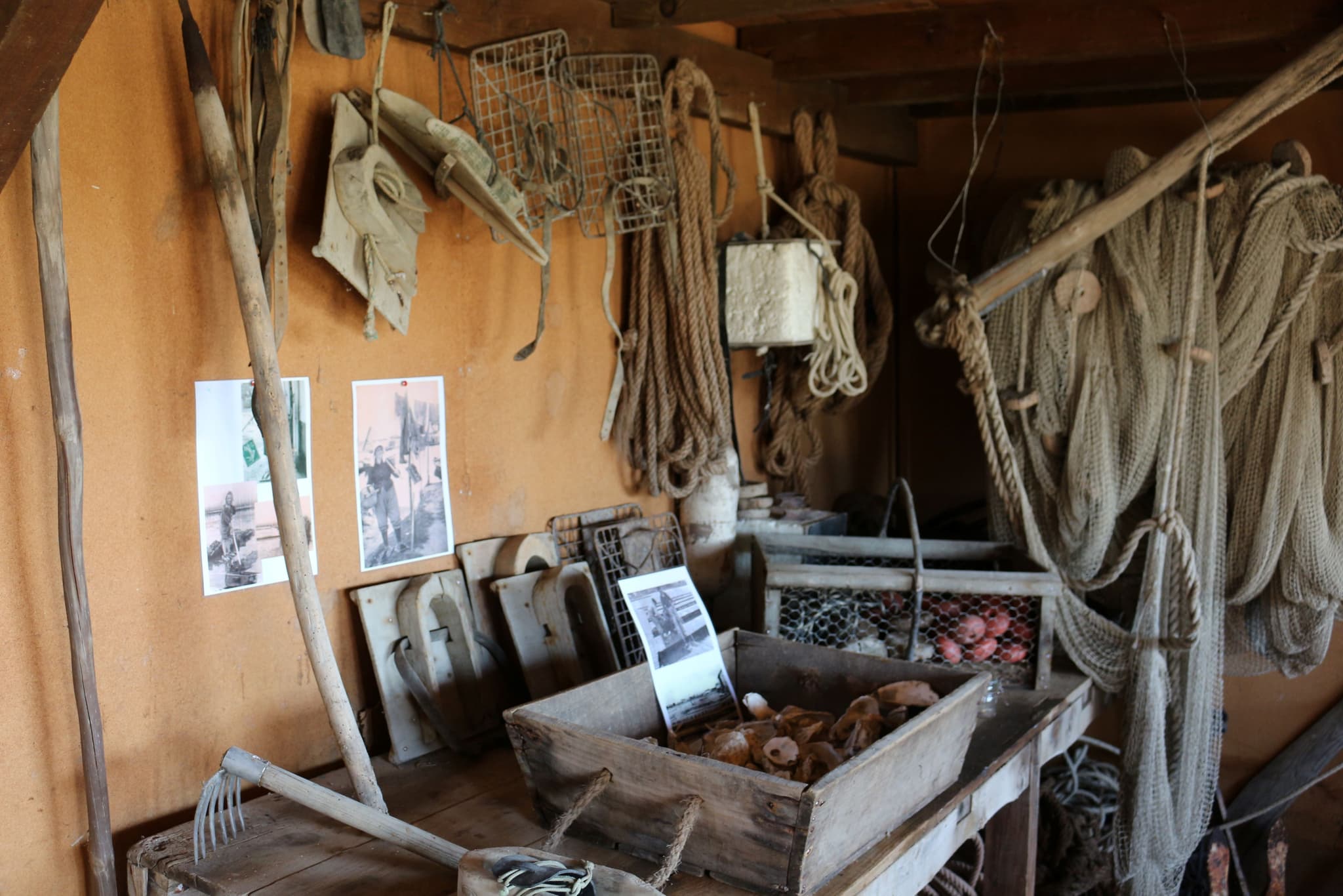 ostréiculture