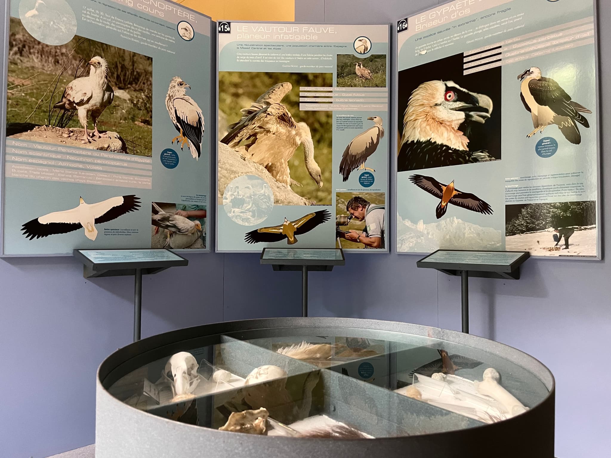 Panneau infos oiseaux et table