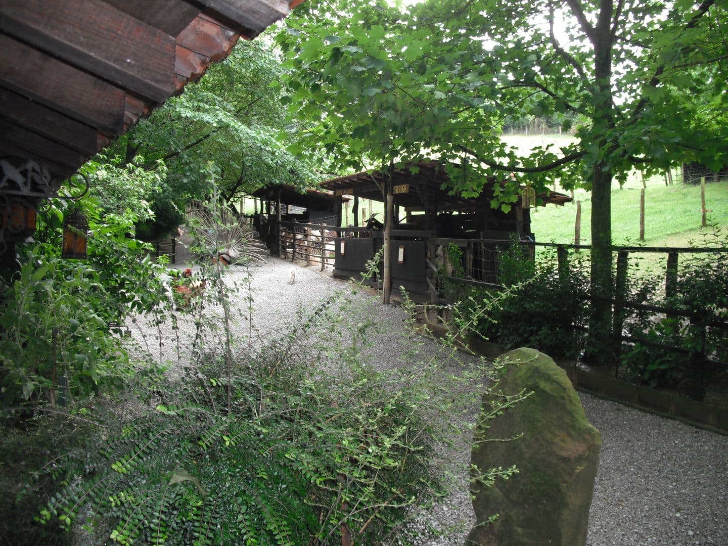 parc_animalier_etxola_parcours