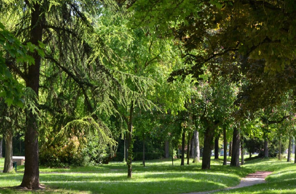 parc bretou redim