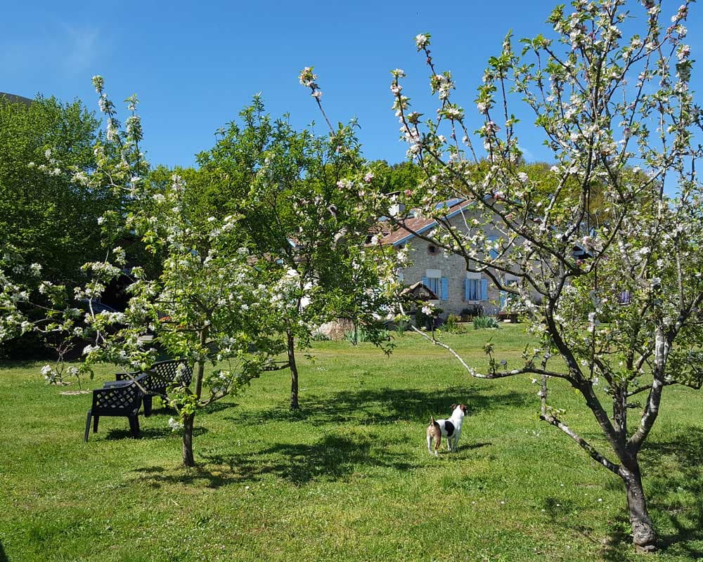 parc-exterieur