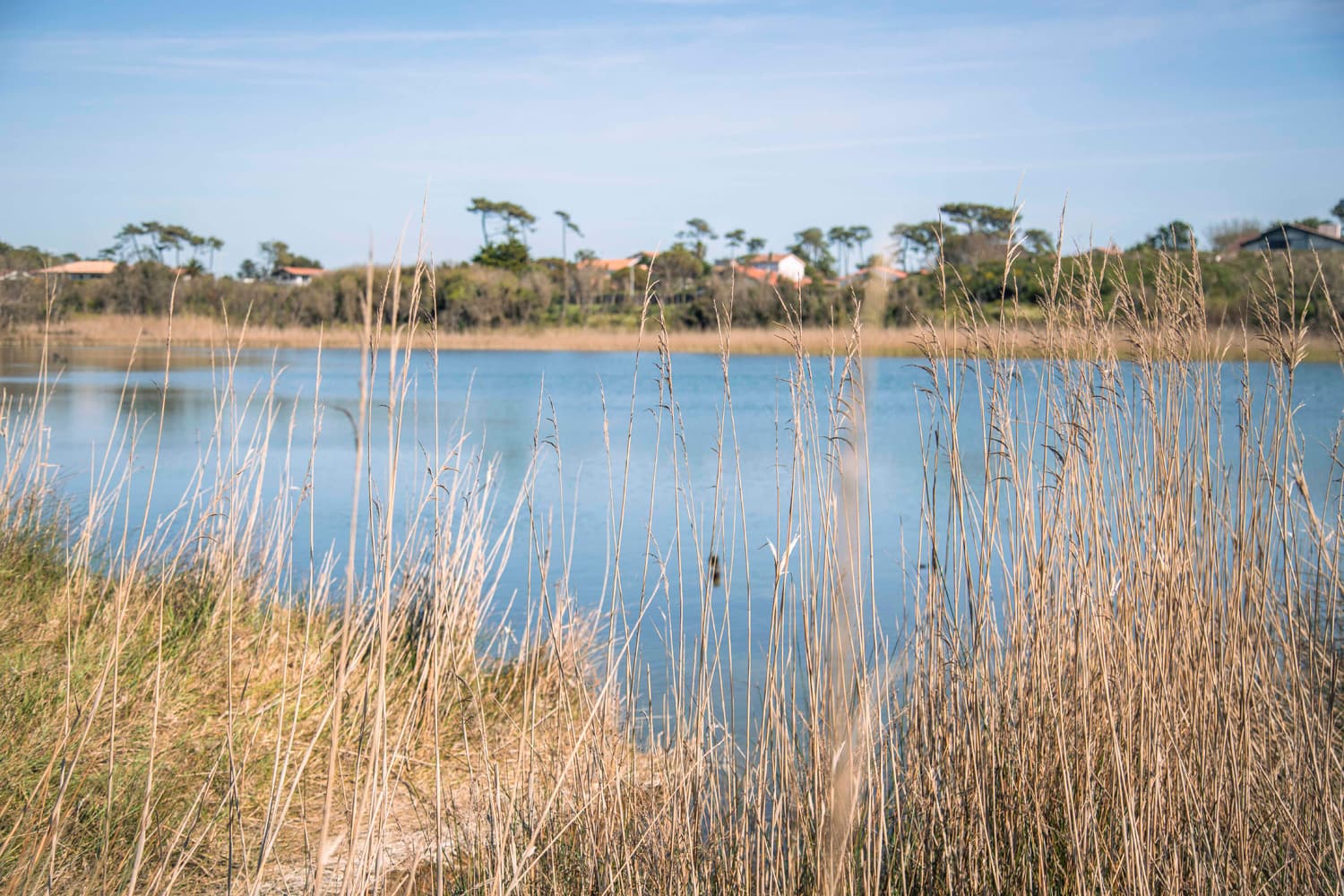 Parc Izadia Anglet