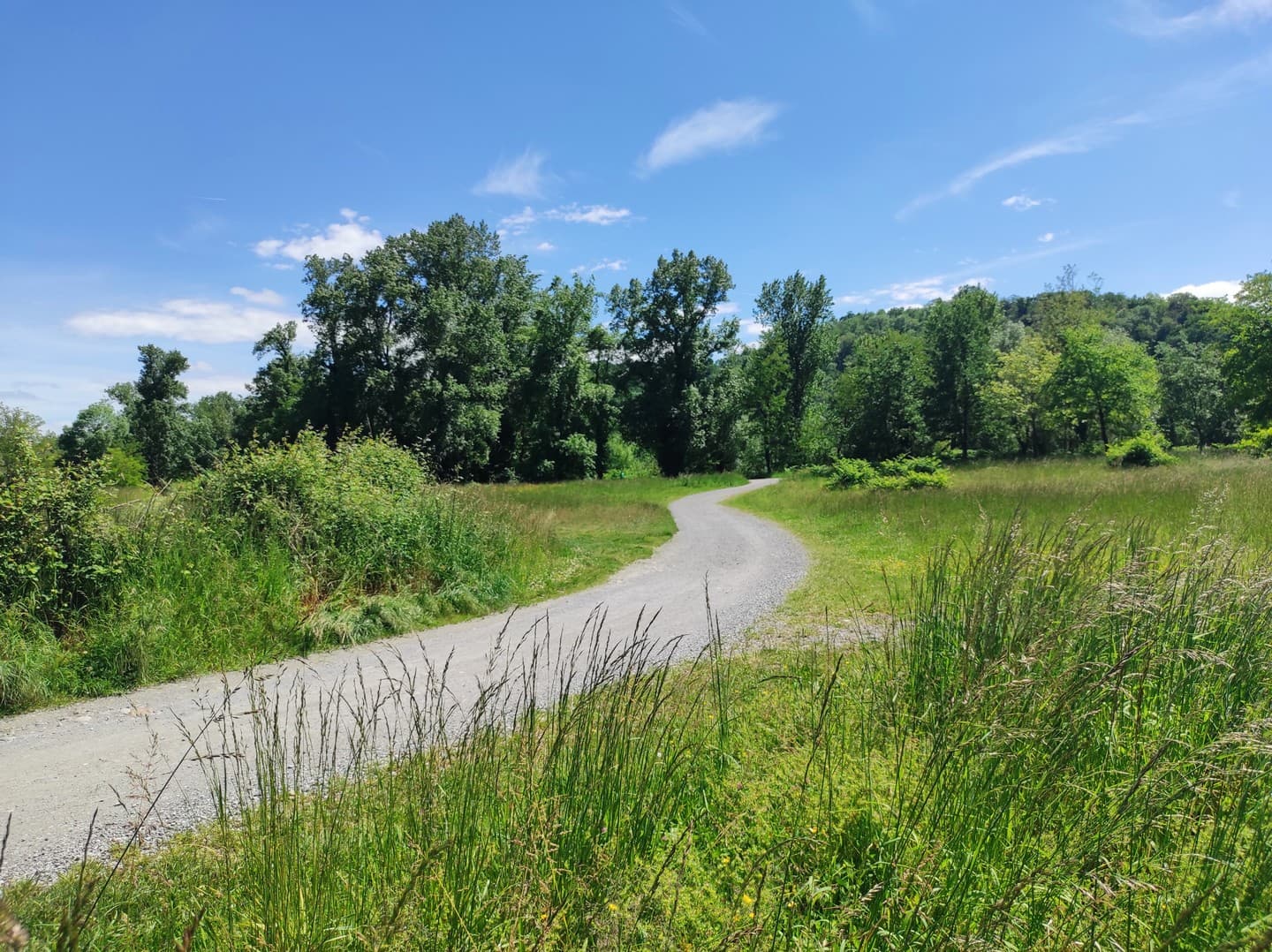 Aire de pique nique - Laroin - chemin sur l'aire de pique nique