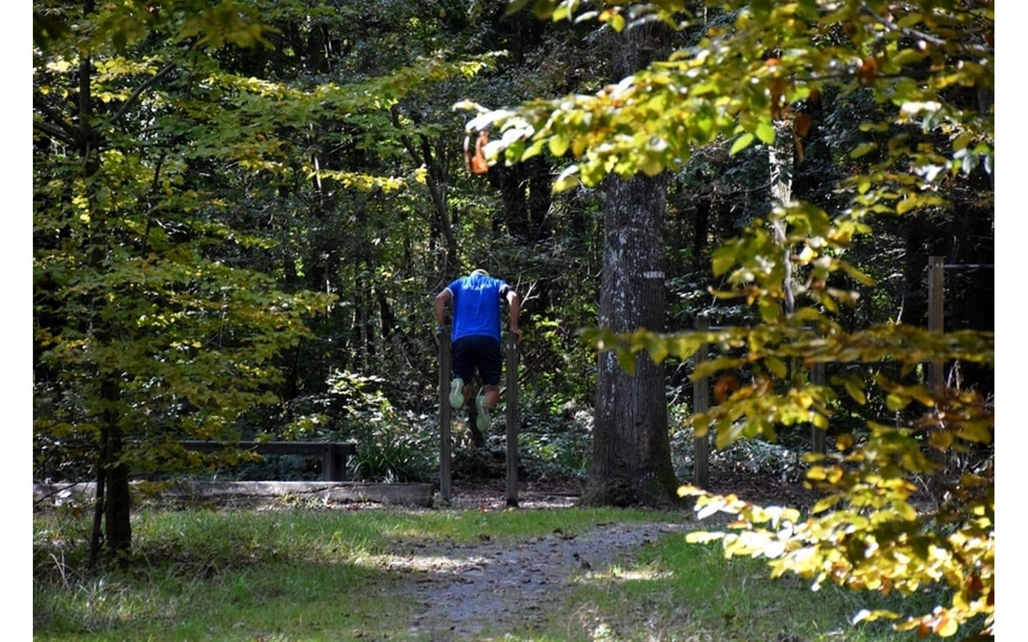 Forêt domaniale de Bastard - Pau - Parcours sportif