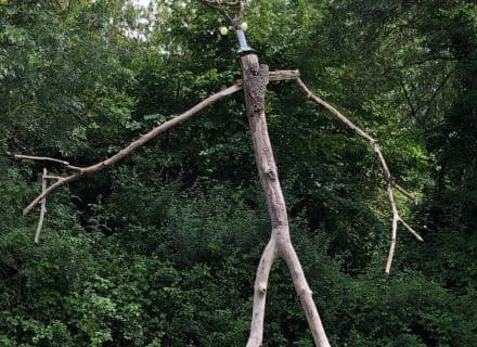 Géocaching Tèrra-Aventura : "Les gardiens du marais" à Saint-Georges-de-Rex