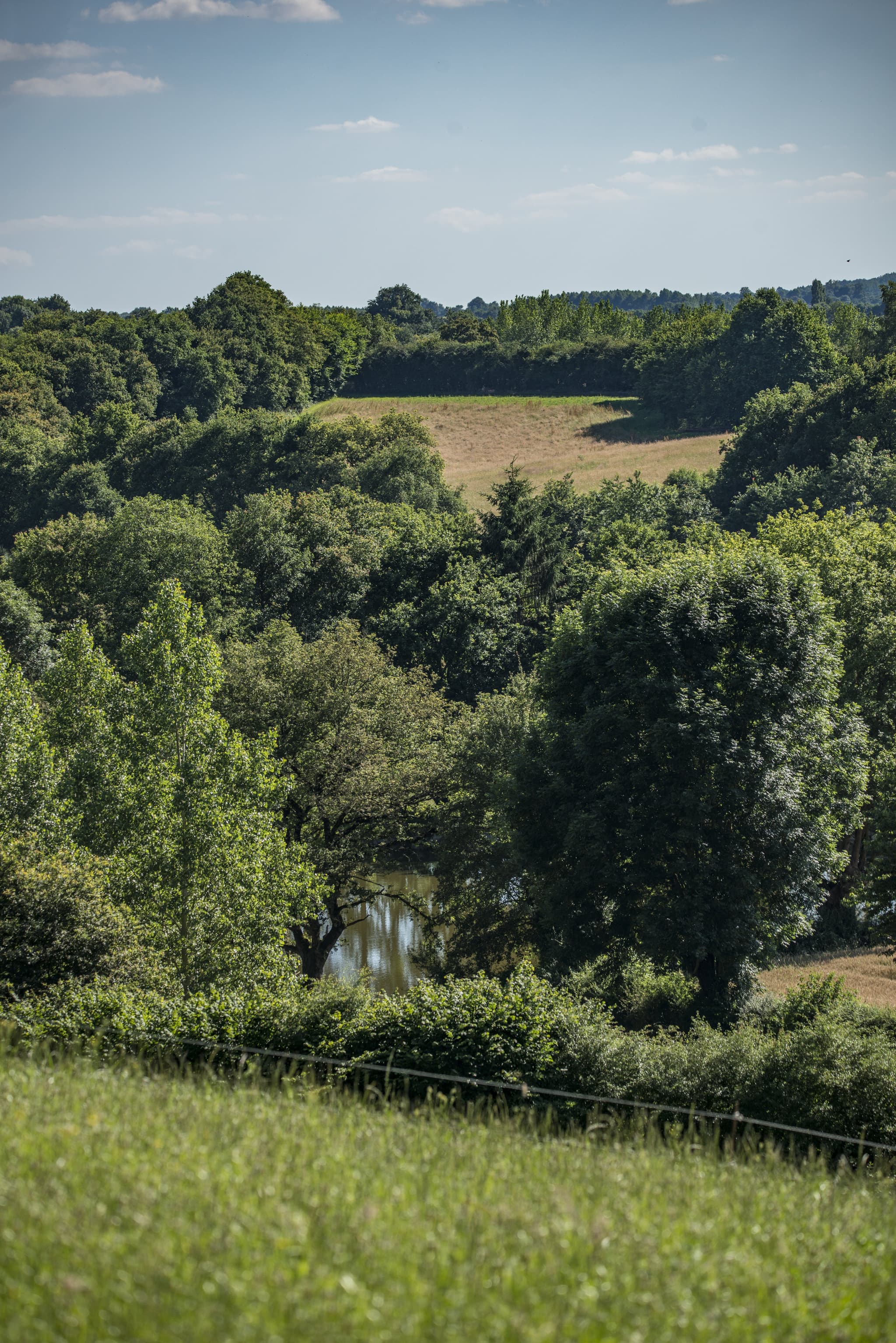 paysage bocage