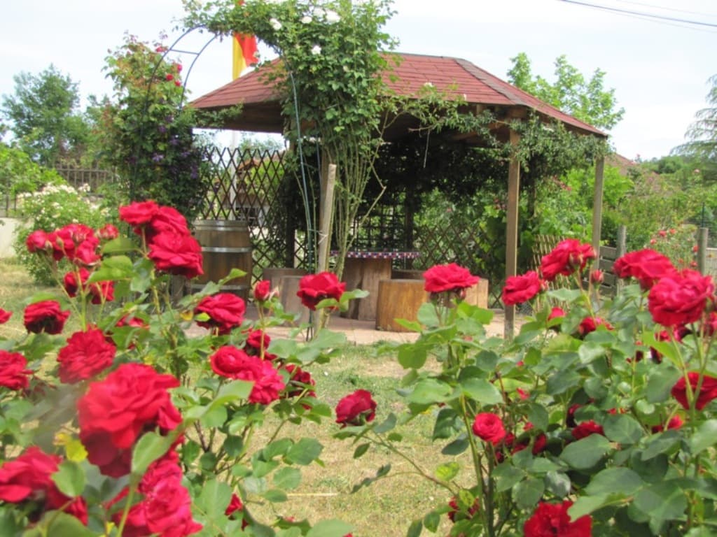pergola-5