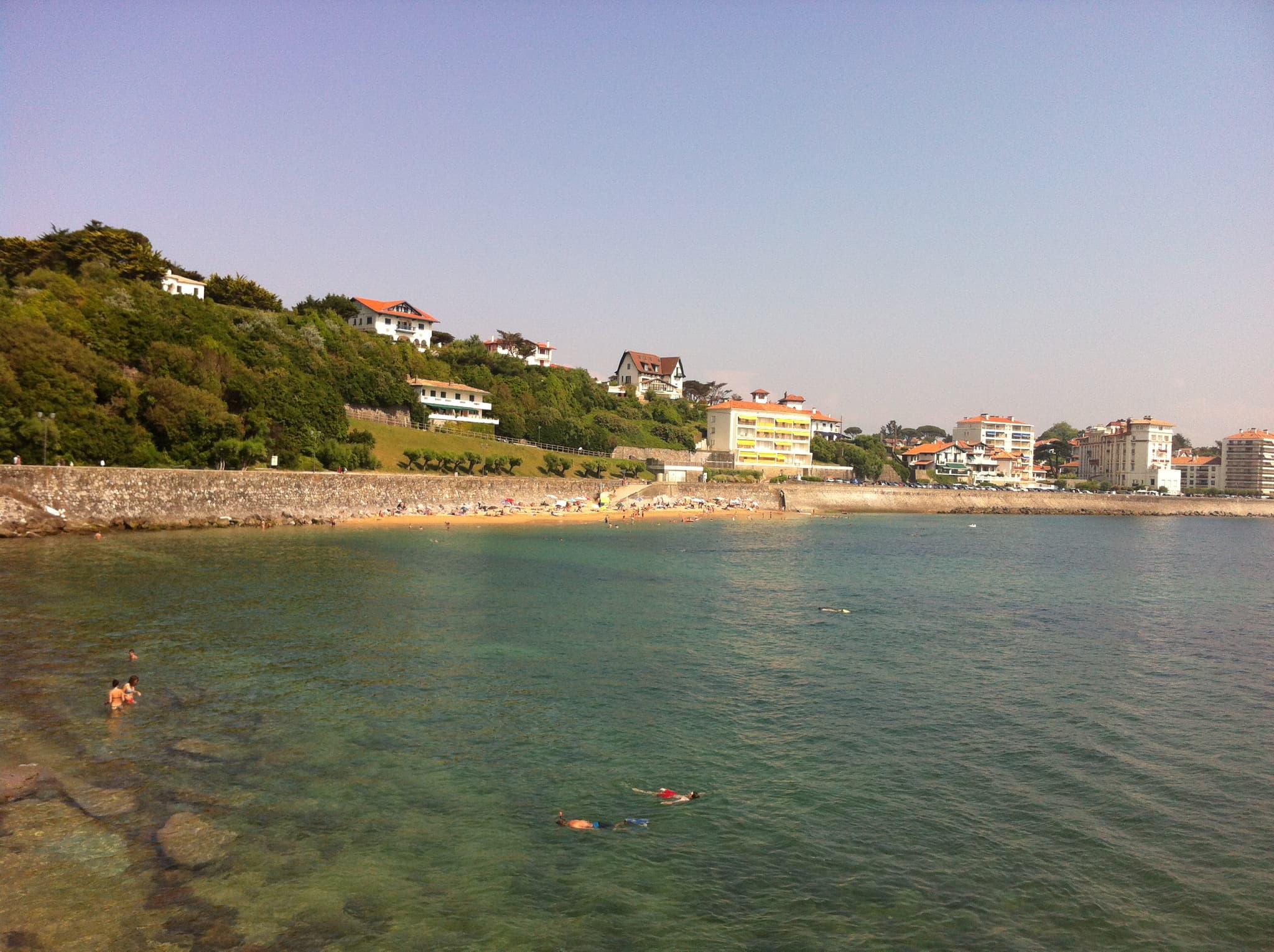 photo (3)