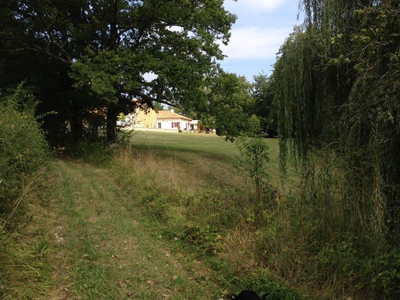 photo (4)