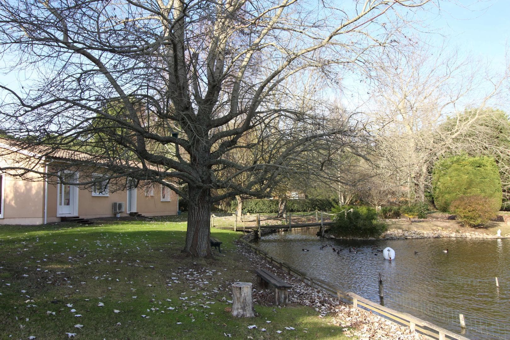 Gîte de l'étang
