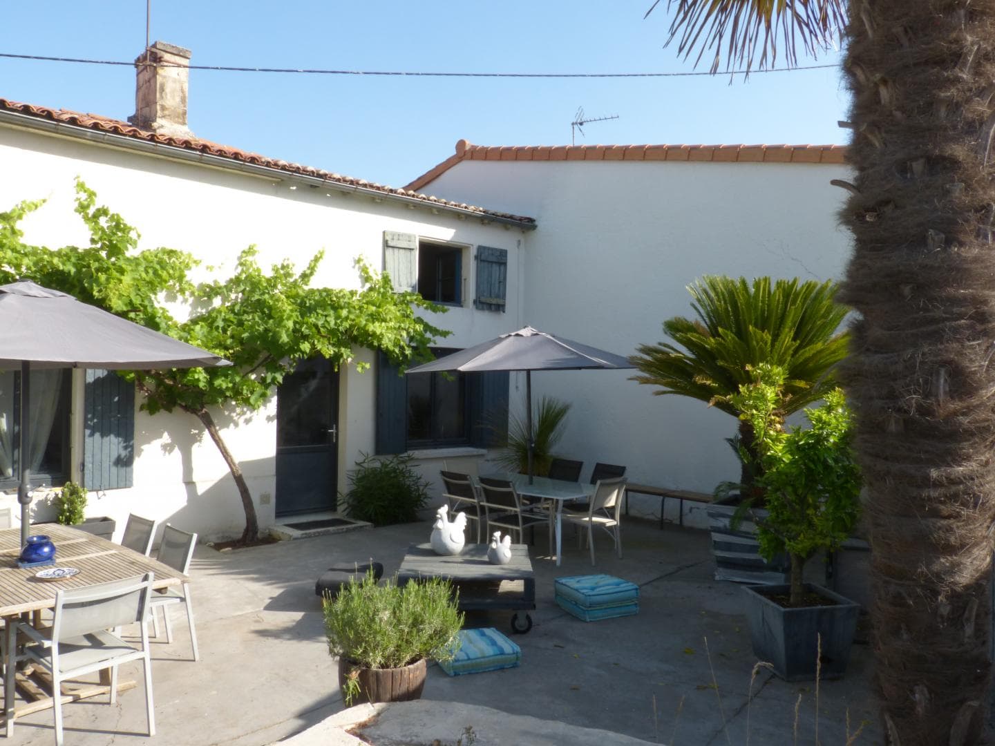 Terrasse