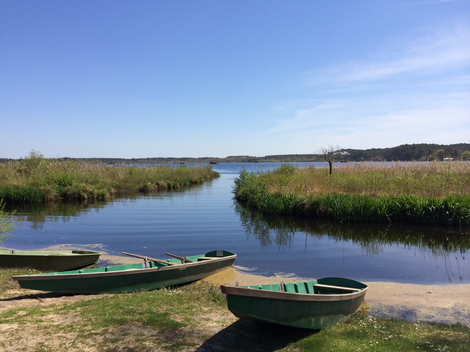 barques et pêche sur l'étang blanc