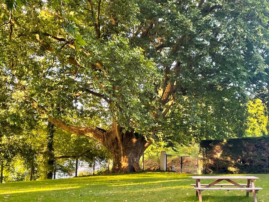 PARC SERVOIS
