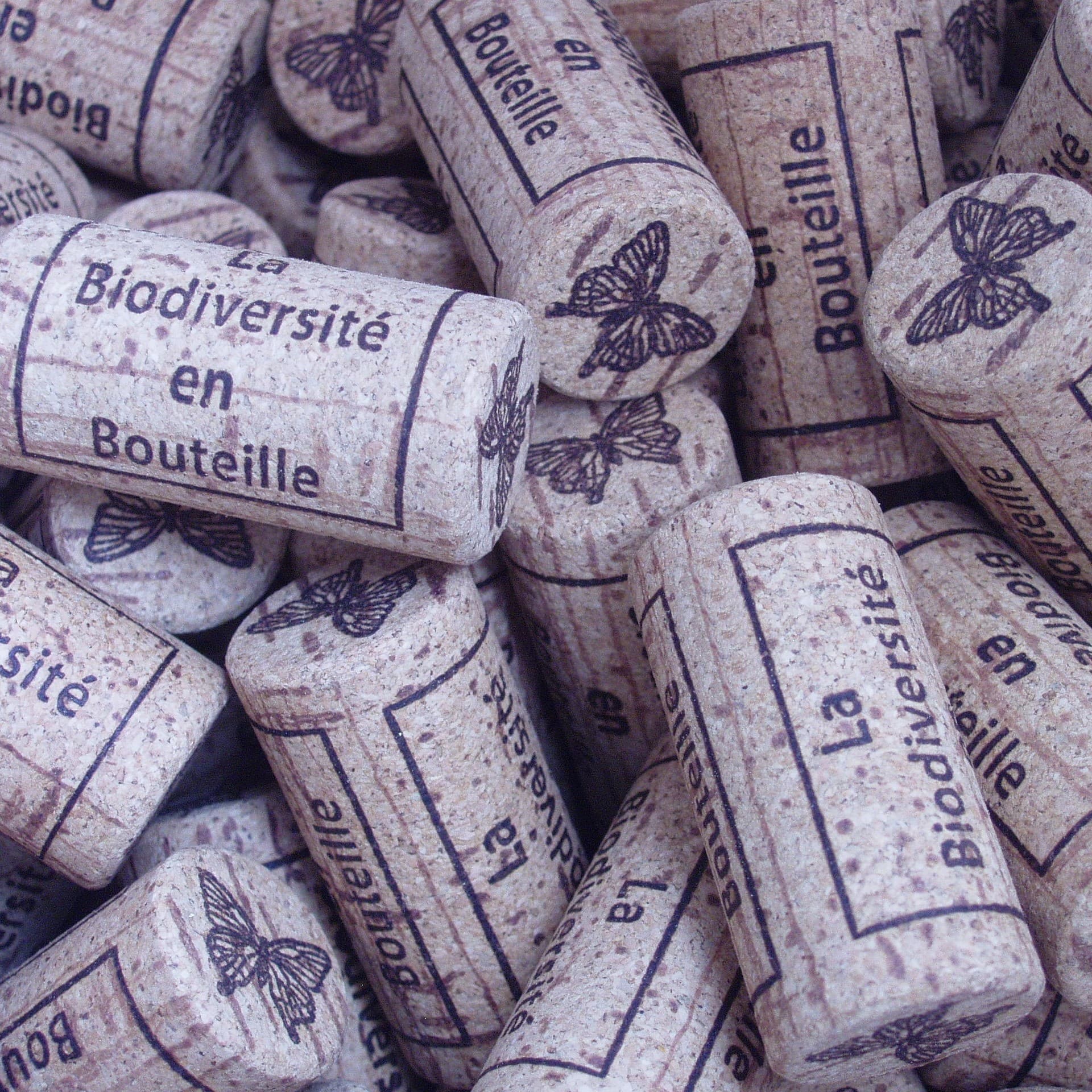 château l'Inclassable 6