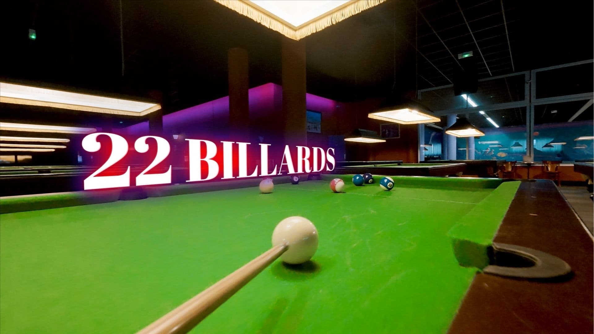 Snook Bowl palace billard