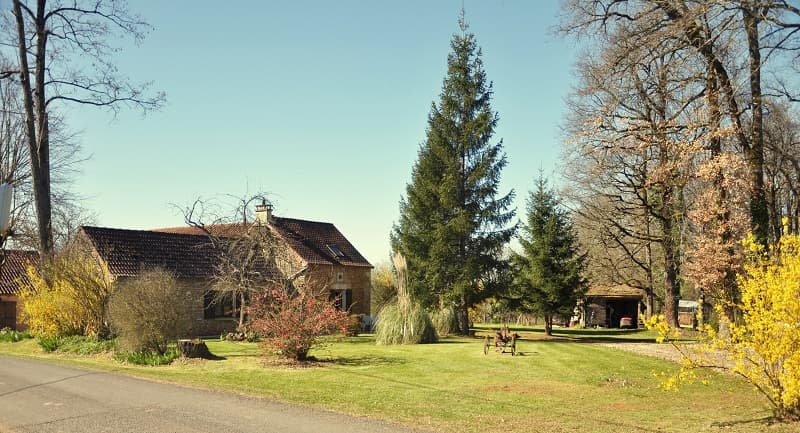 Maison