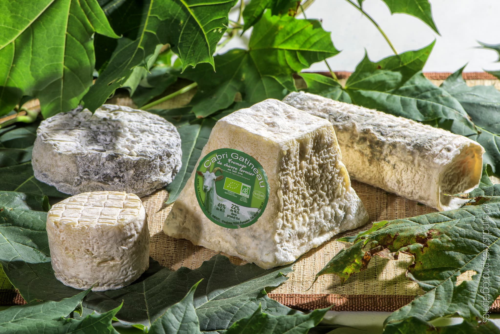 photo fromages