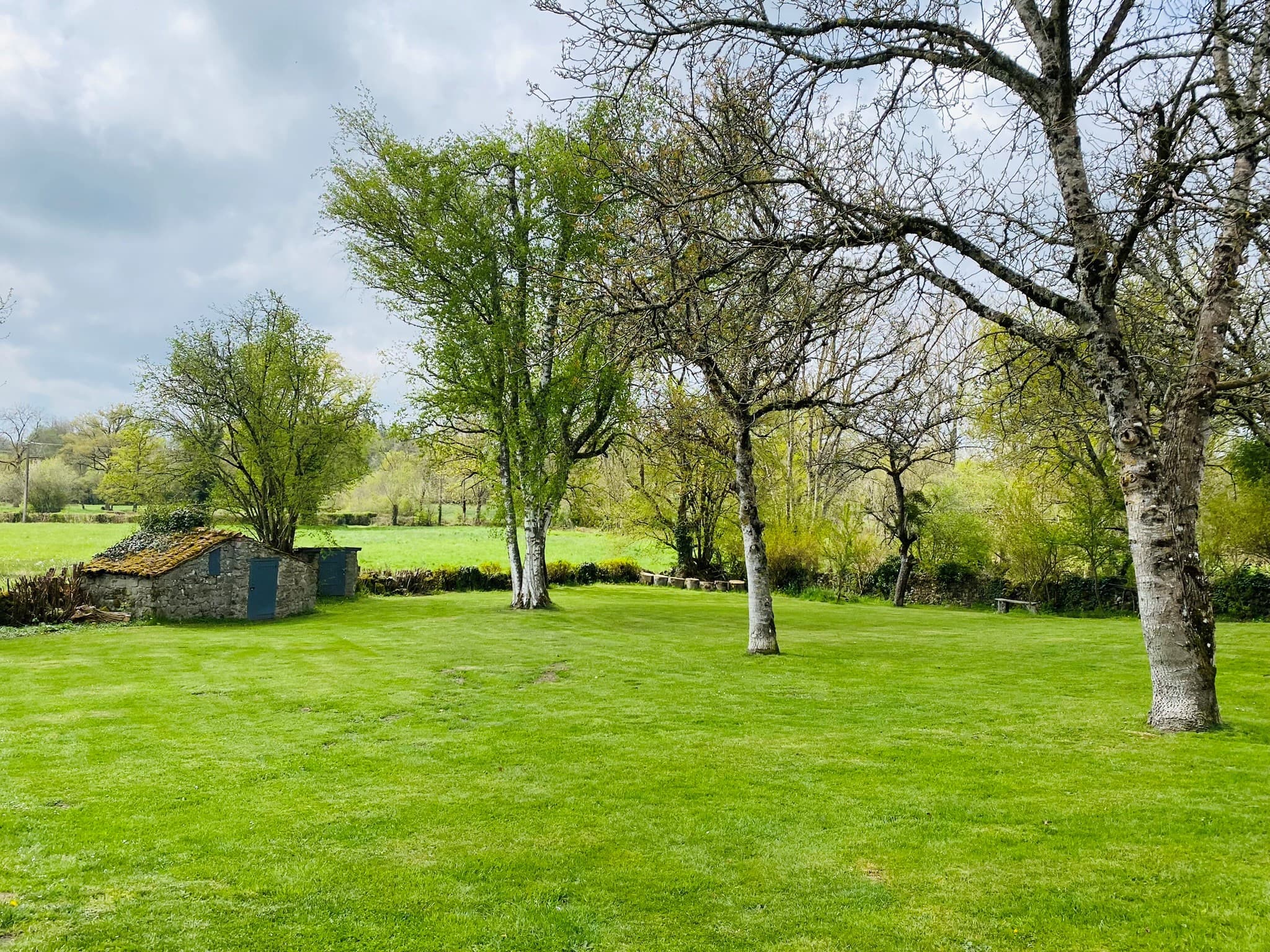 photo jardin