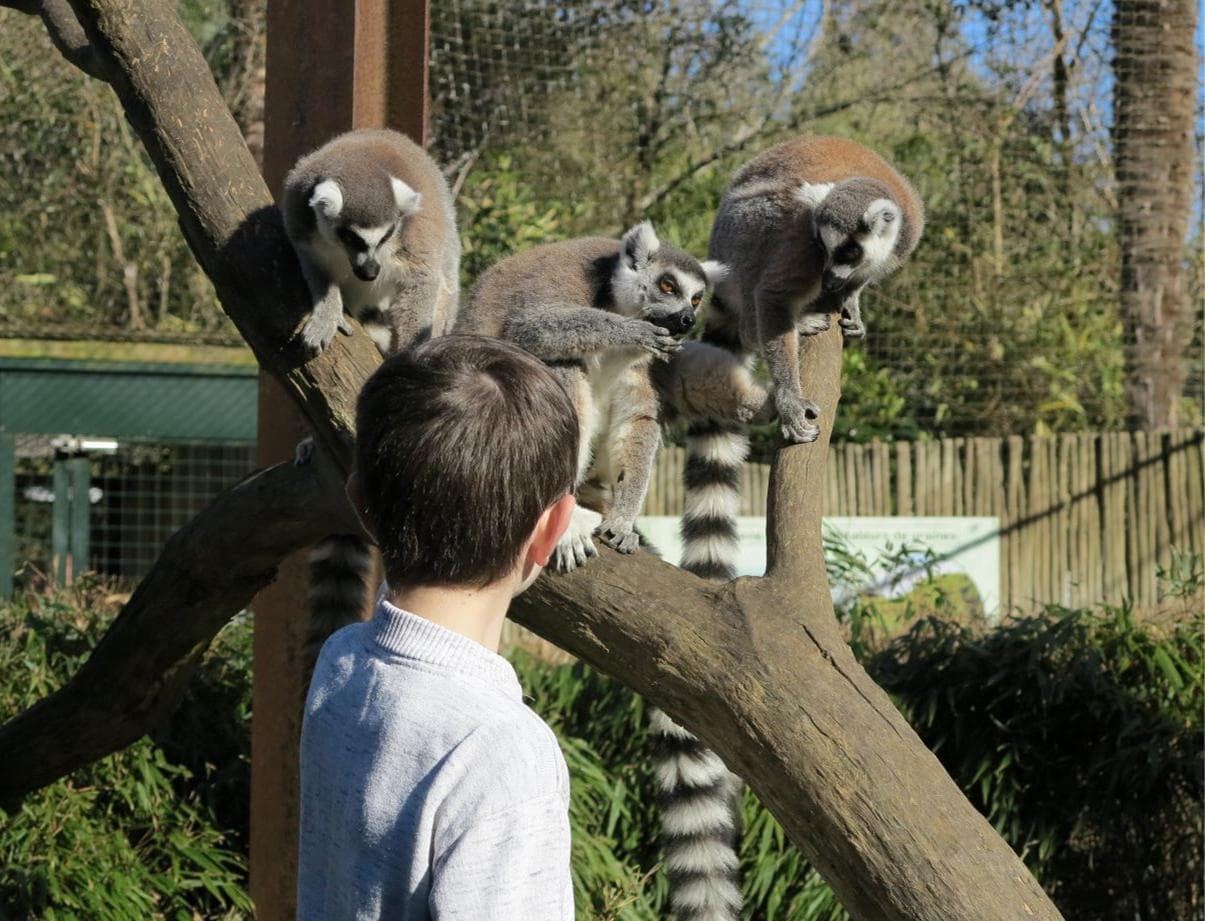 photo-mini-soigneur-zoo