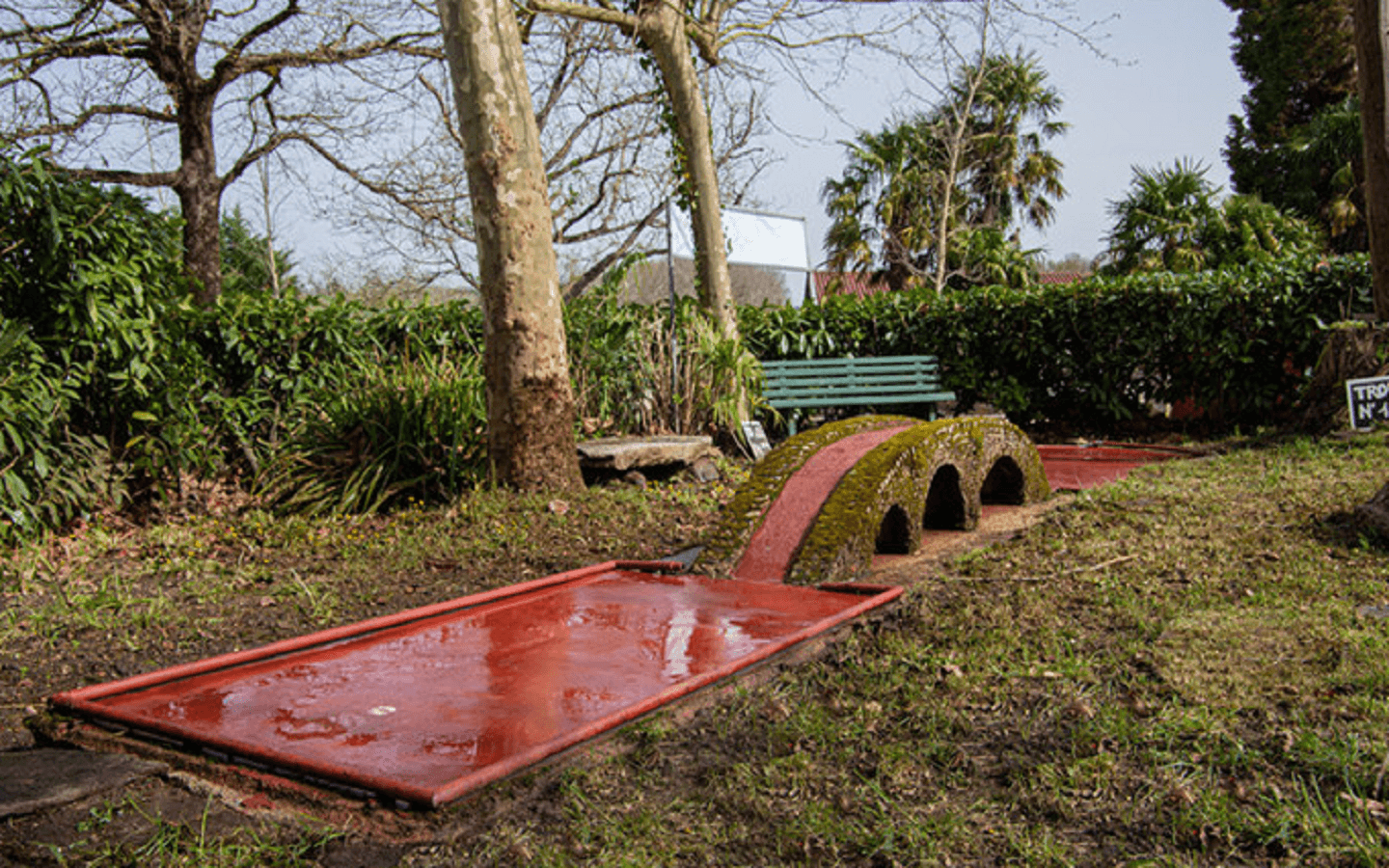 photo site 8