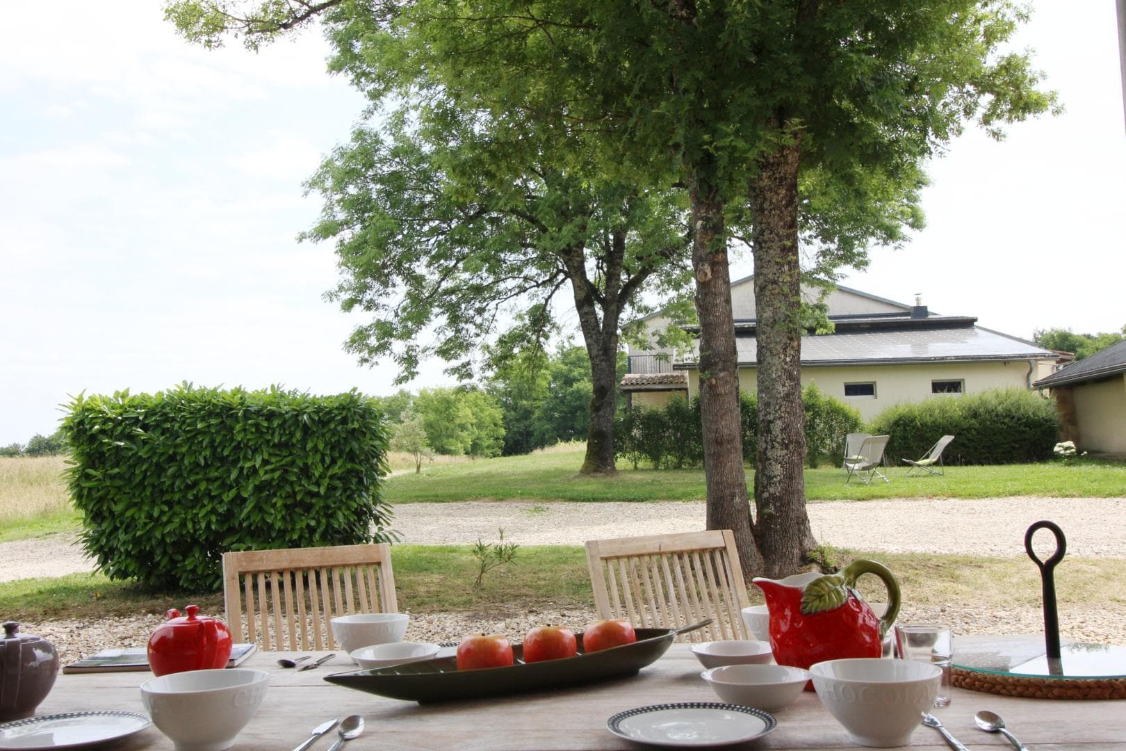 Château Malfard - Petit Verdot