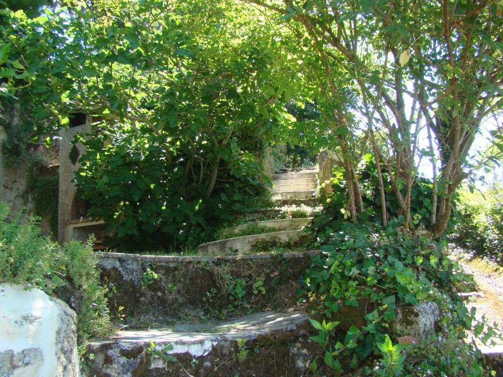 La Falaise