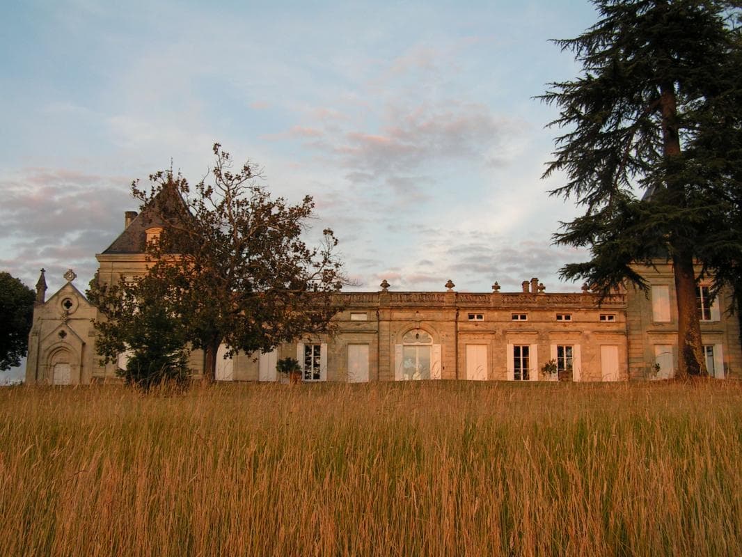 Château Malfard - Petit Verdot