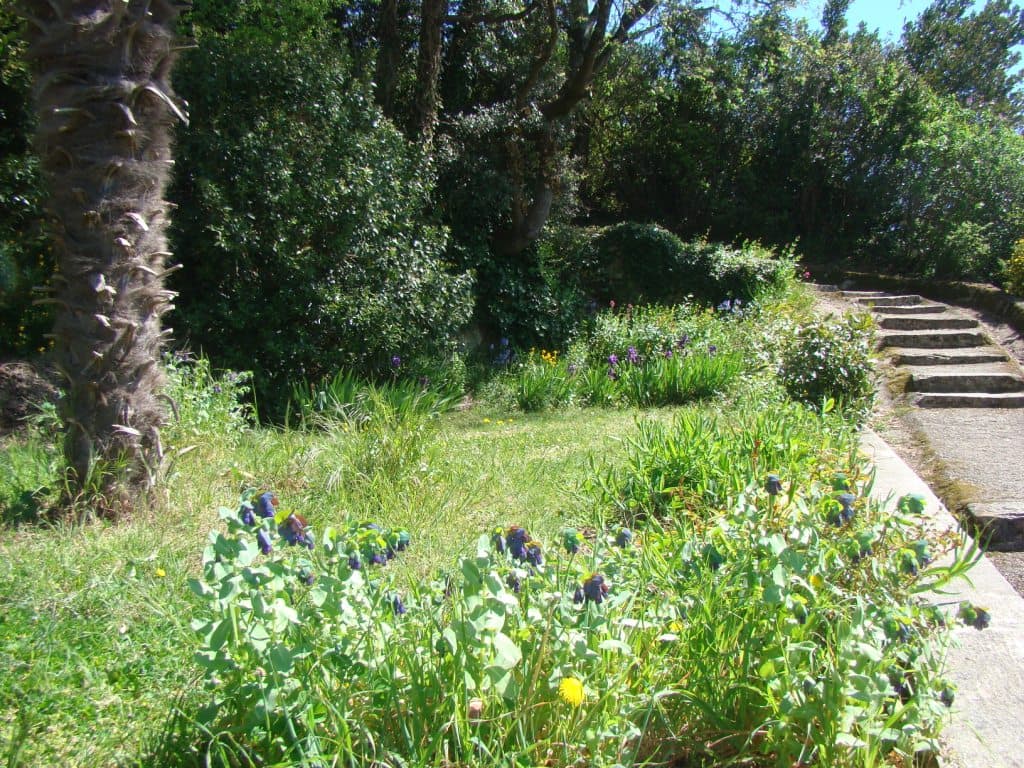 La Falaise