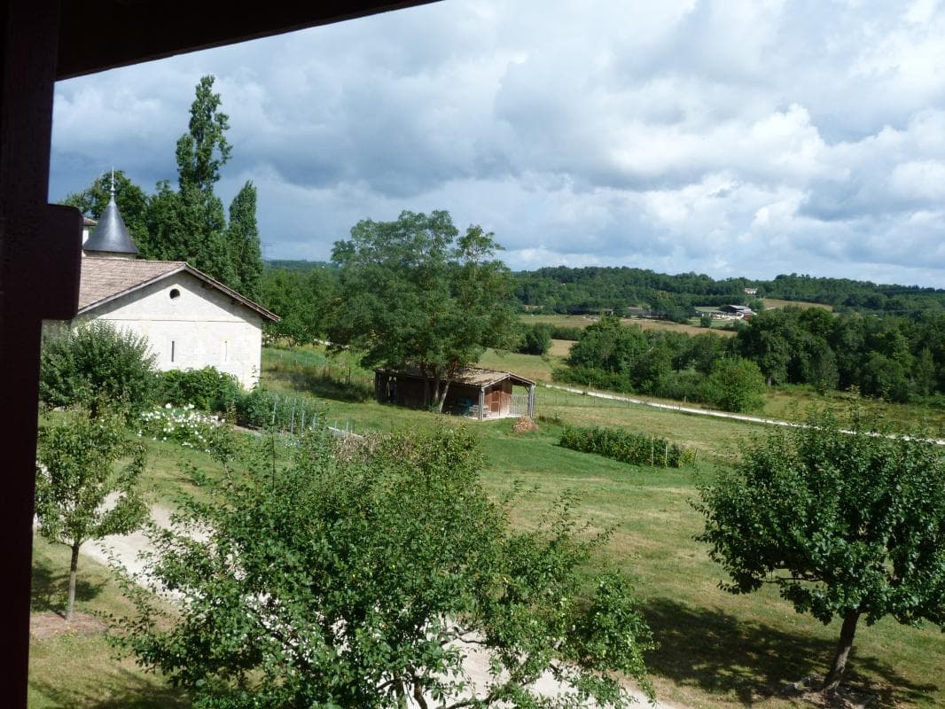 Château Malfard - Petit Verdot