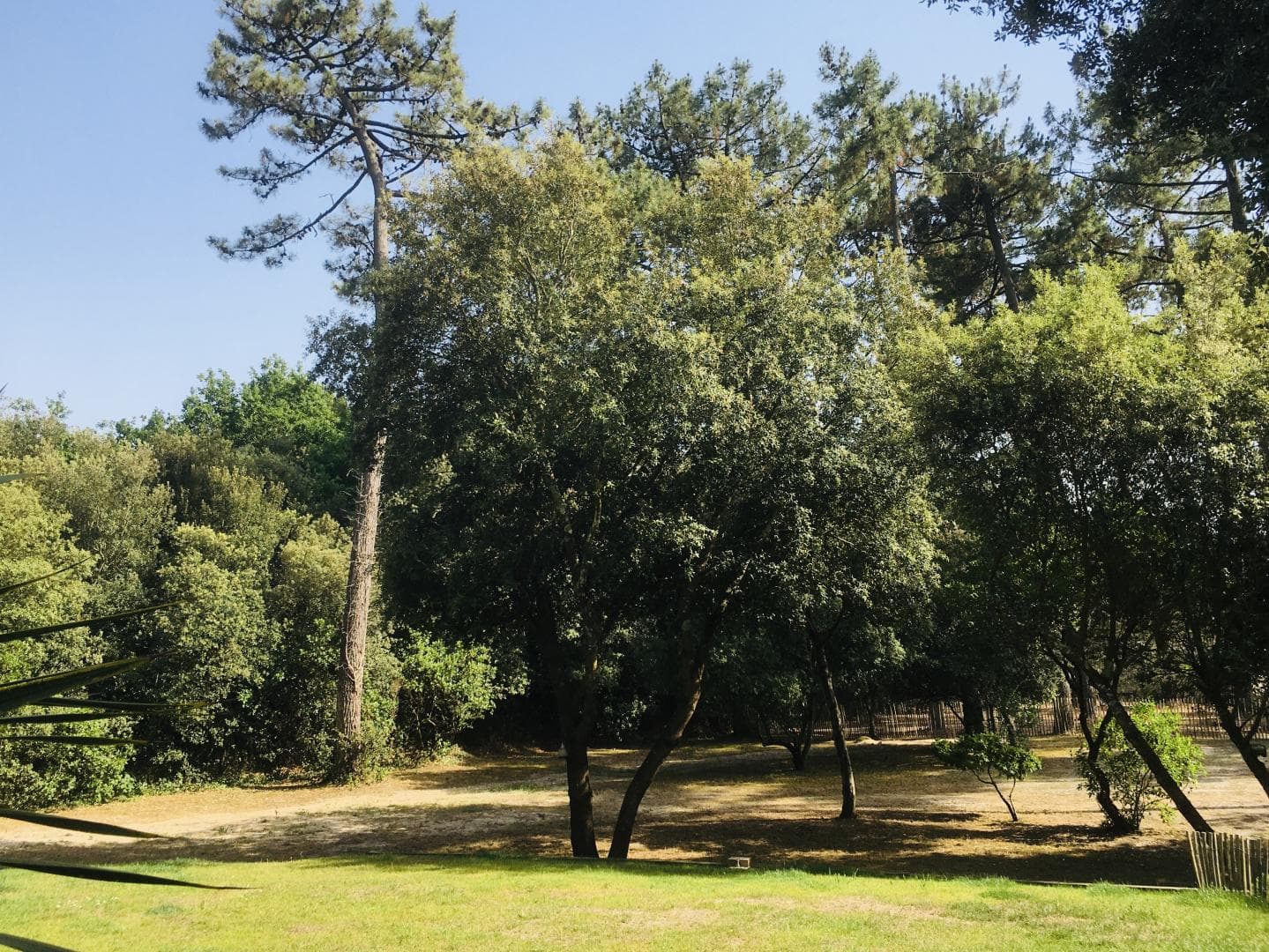 Villa Les Odonates