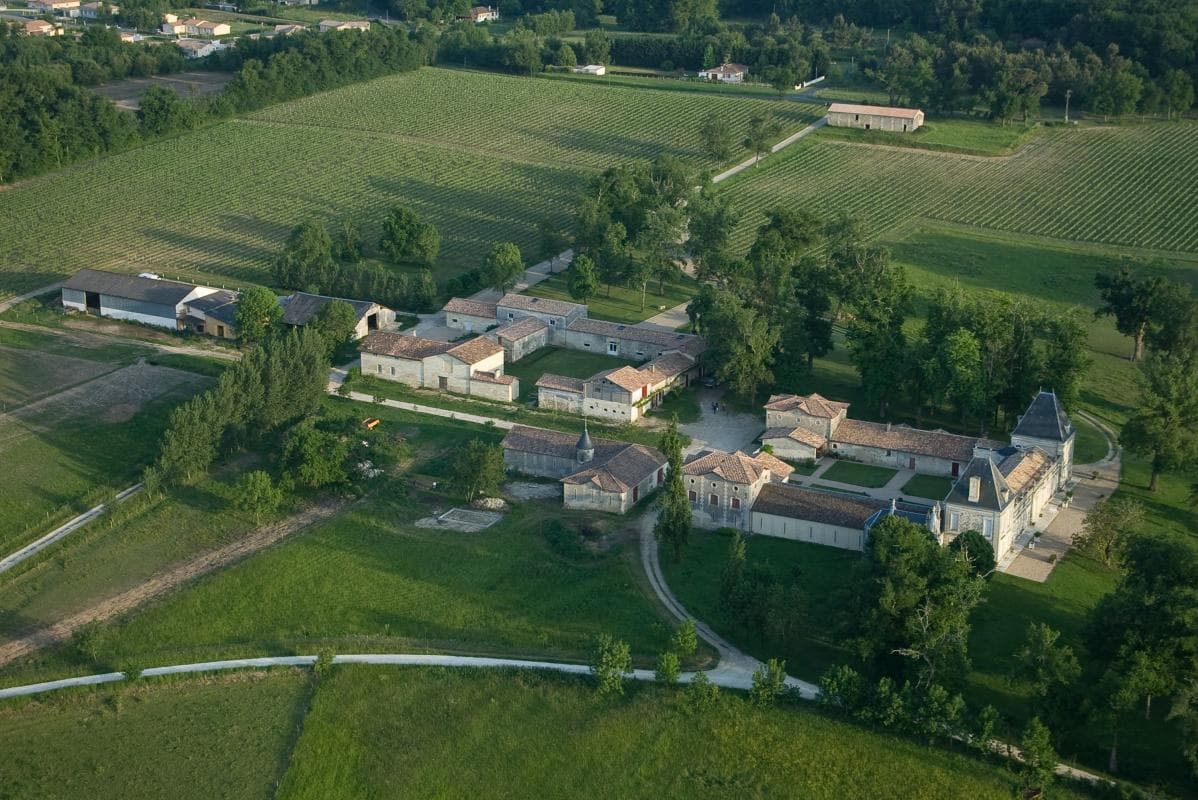 Château Malfard - Petit Verdot