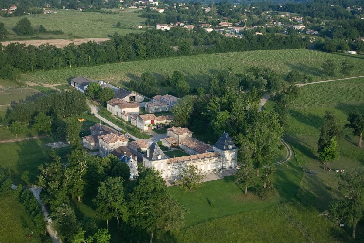 Château Malfard - Semillon