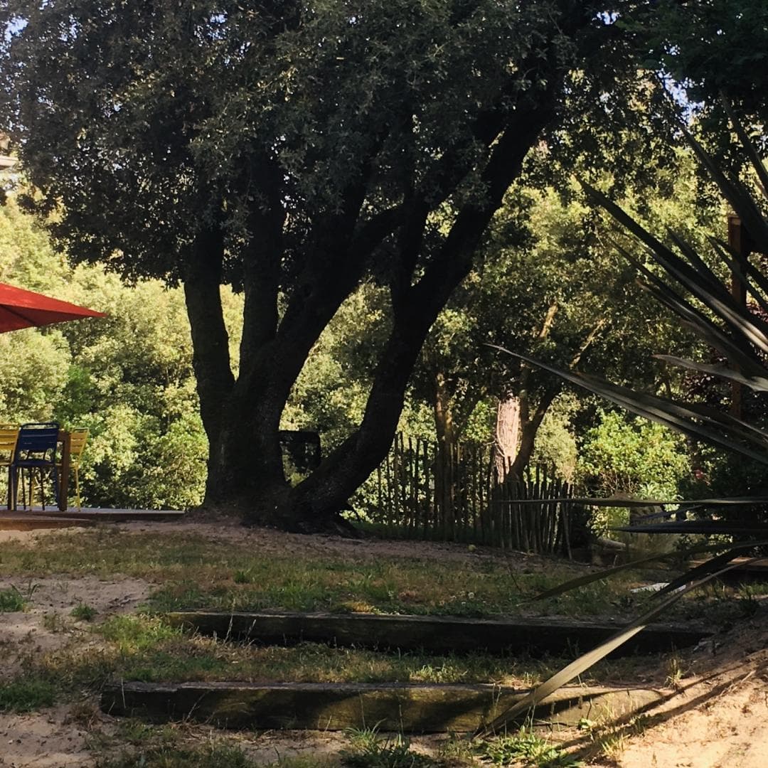 Villa Les Odonates