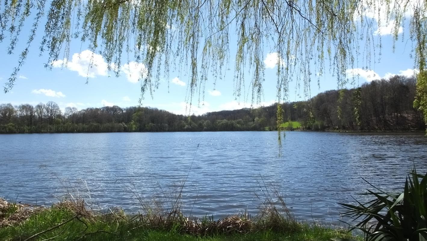 etang