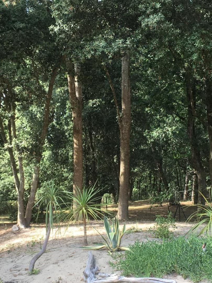 Villa Les Odonates