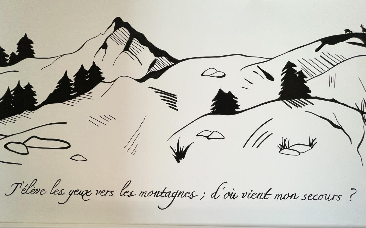 photo48