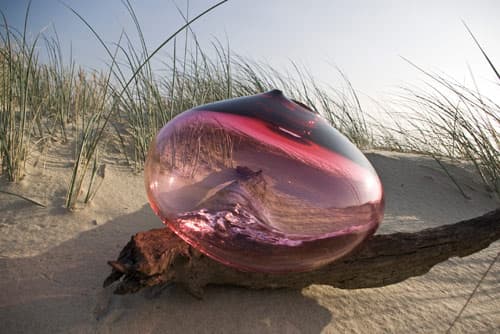 phyto-Cerise_4