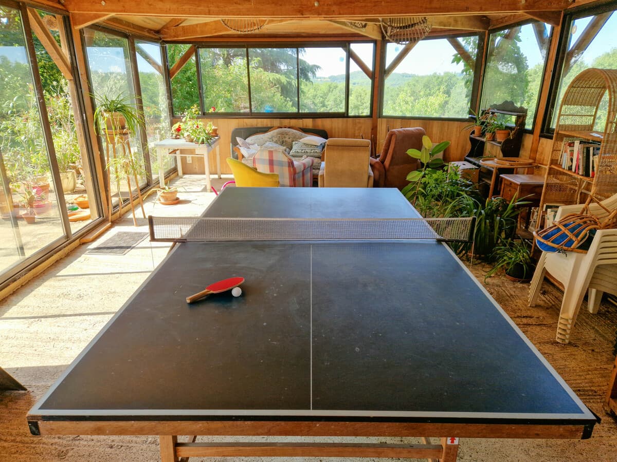 ping pong
