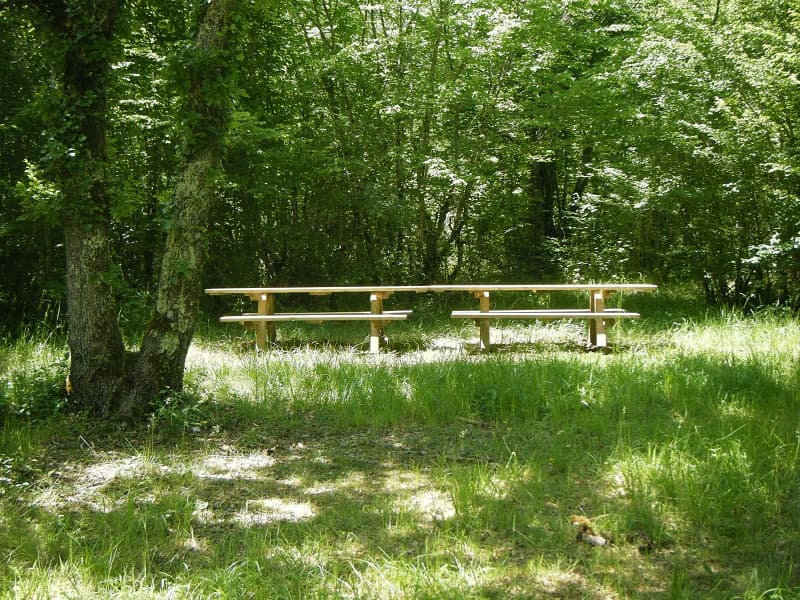 pique nique causse1