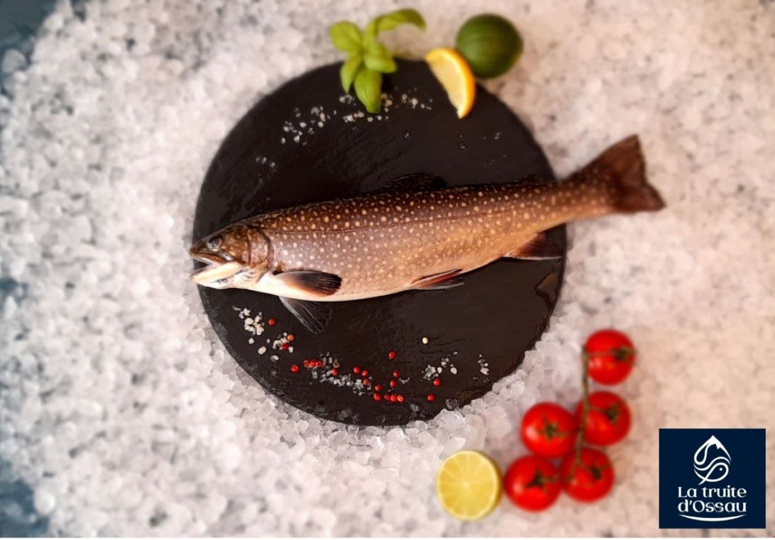 pisciculture-la-truite-dossau1